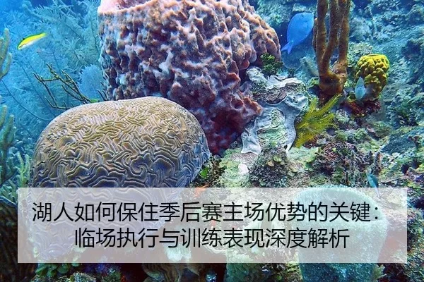 湖人如何保住季后赛主场优势的关键：临场执行与训练表现深度解析