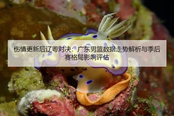 shang-qing-geng-xin-hou-liao-yue-dui-jue-guang-dong-nan-lan-shu-ju-zou-shi-jie-xi-yu-ji-hou-sai-ge-ju-ying-xiang-ping-gu-2-913.jpg